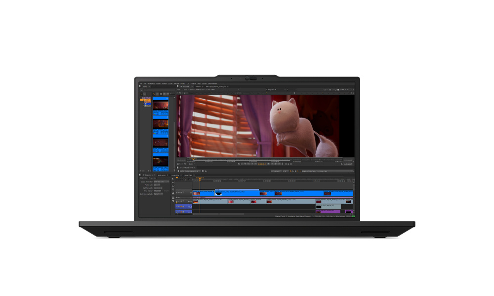 Zoom Image